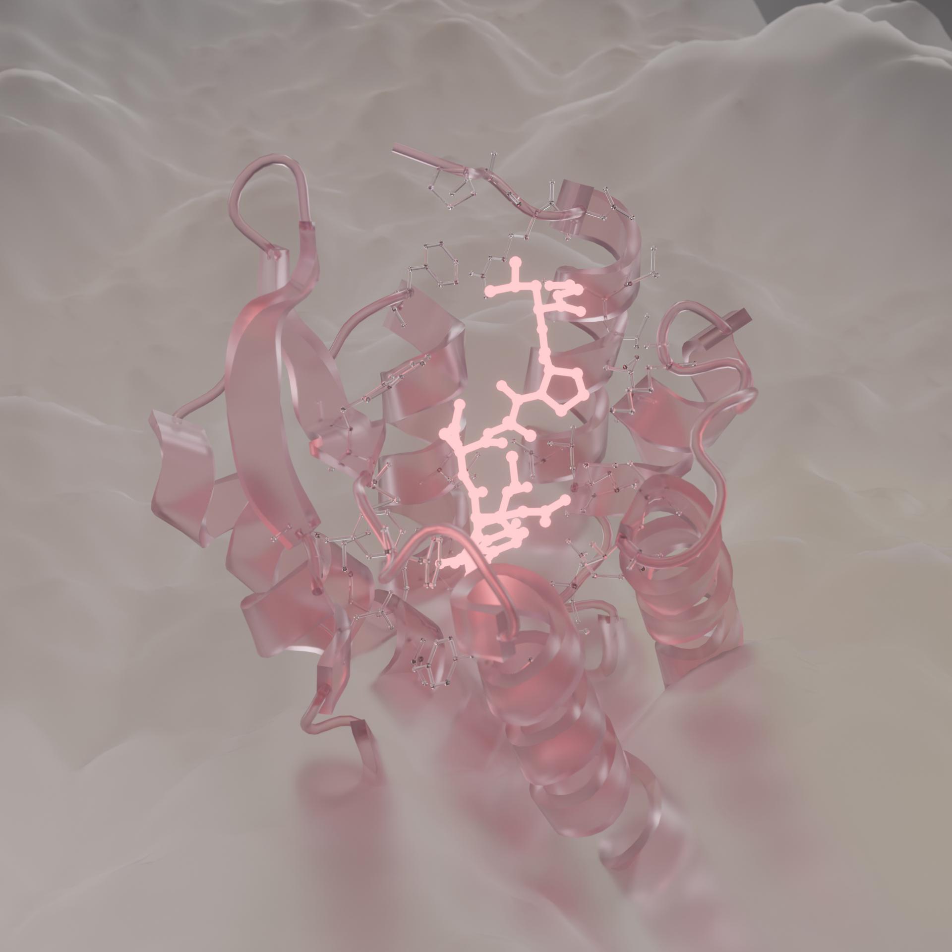 Oxytocin Receptor: Frosted Rose Glass